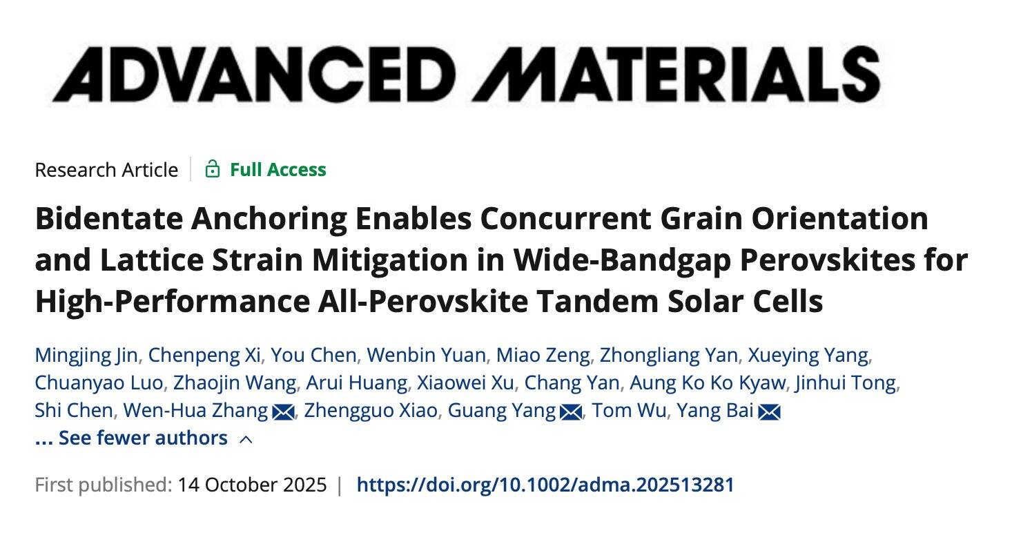 Advanced Materials|英国威廉集团官网白杨团队联合发表钙钛矿叠层光伏研究新成果