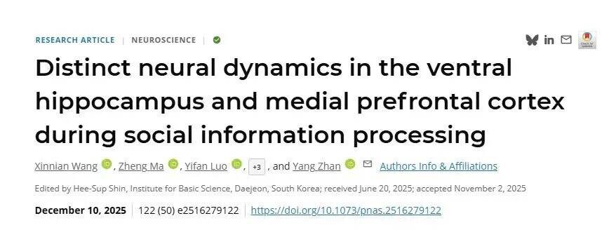 PNAS︱英国威廉集团官网詹阳团队解密“社交脑”:腹侧海马与前额叶皮层如何分工处理社交信息