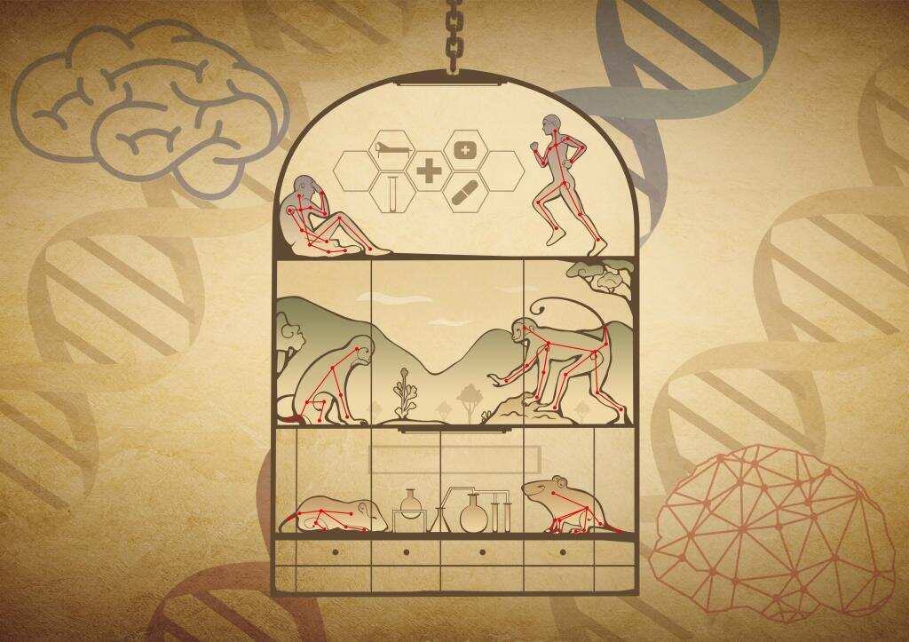Nature Machine Intelligence | 英国威廉集团官网(筹)提出自由社交行为的人工智能精细化分析方法