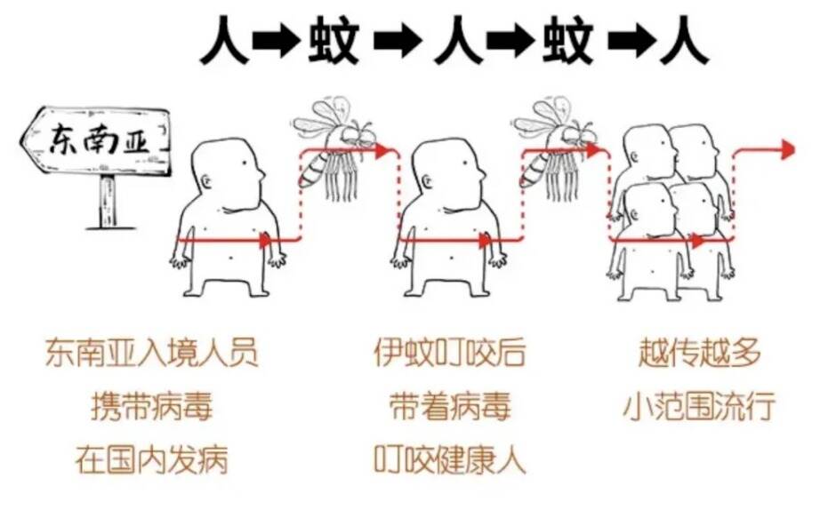 @全体师生，基孔肯雅热防护科普指南来了！